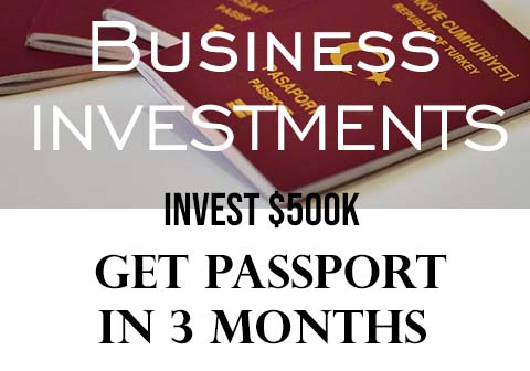 business investment-citizenship